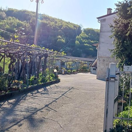 La Torretta - Incantevole Appartamento Nei Colli Berici Nanto Zewnętrze zdjęcie