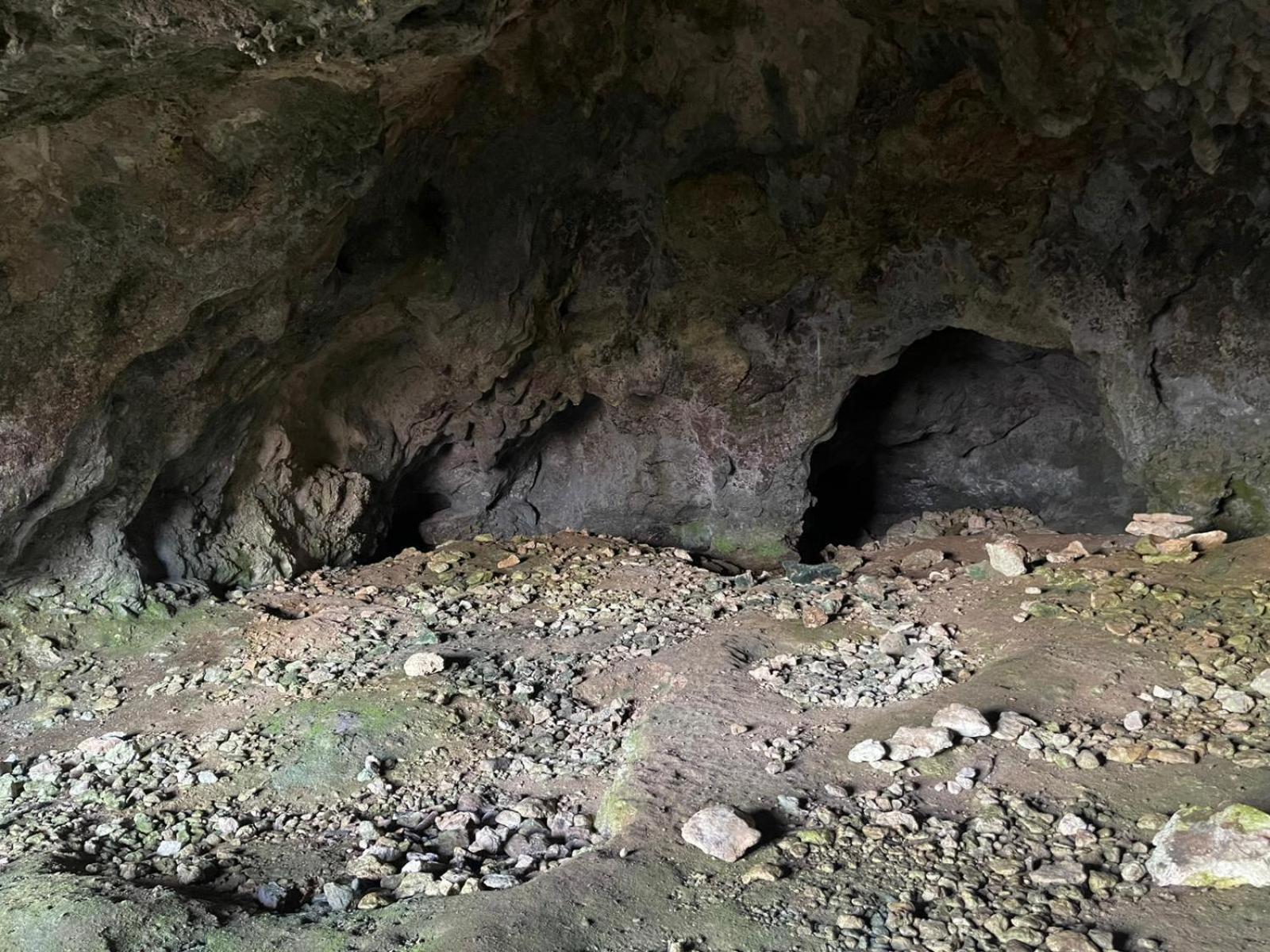 La Torretta - Incantevole Appartamento Nei Colli Berici Nanto Zewnętrze zdjęcie