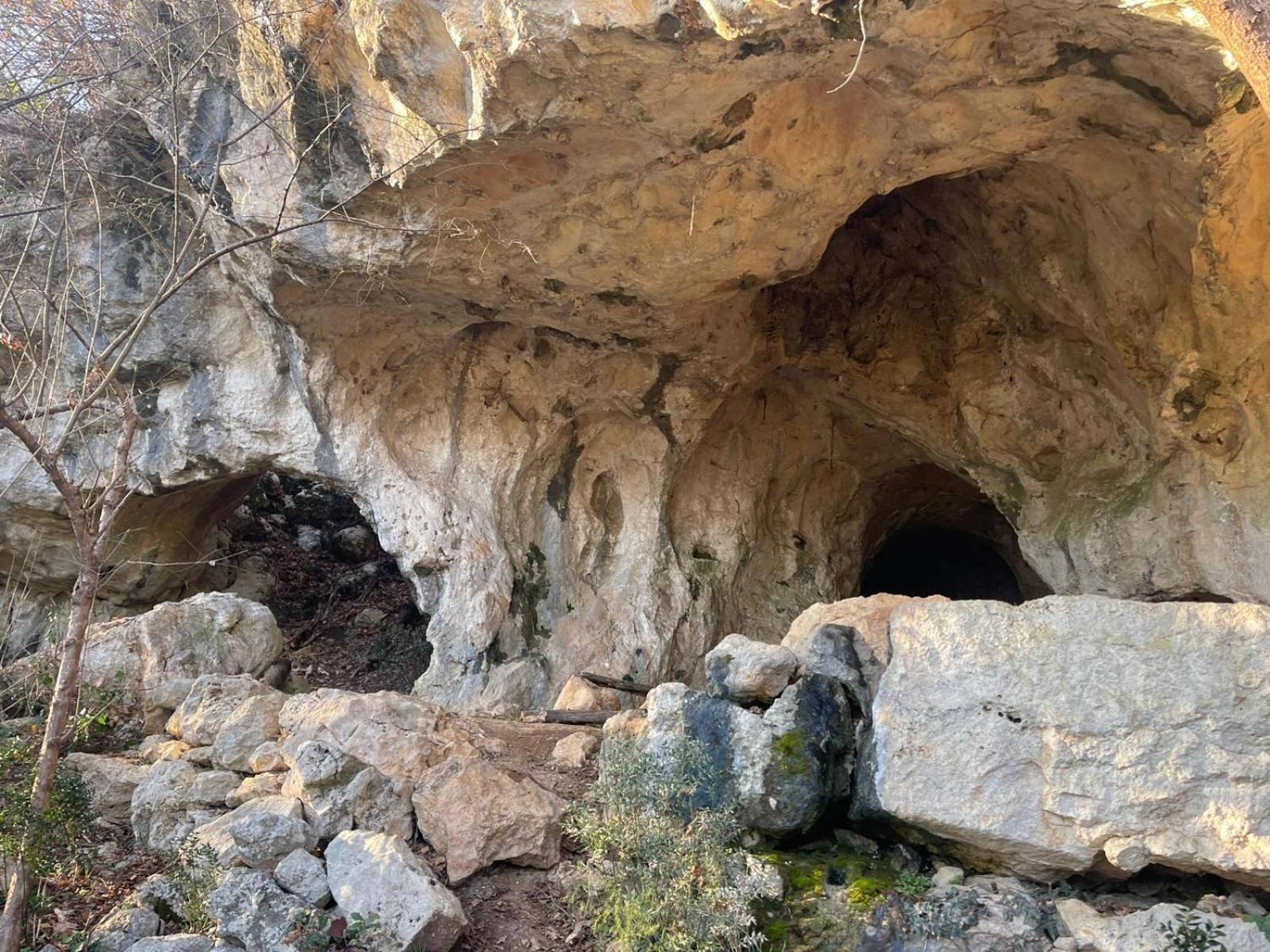 La Torretta - Incantevole Appartamento Nei Colli Berici Nanto Zewnętrze zdjęcie