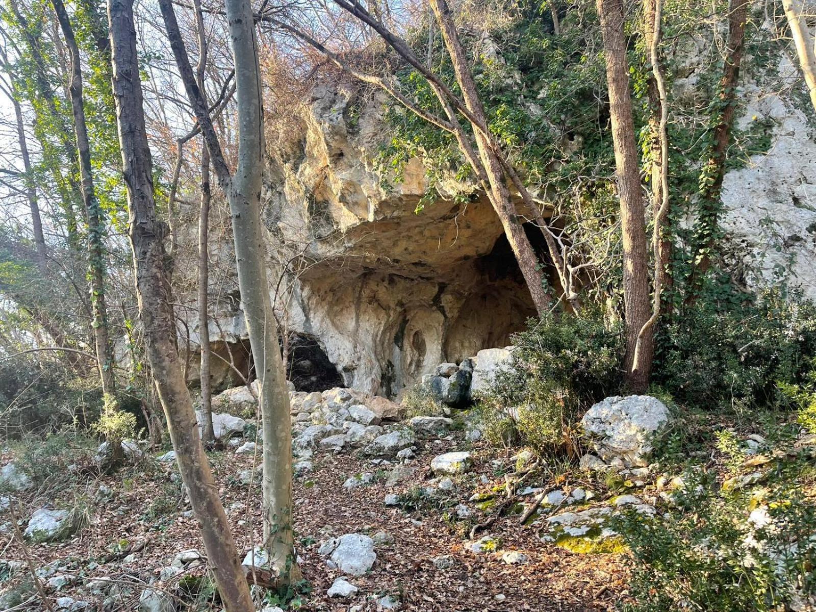 La Torretta - Incantevole Appartamento Nei Colli Berici Nanto Zewnętrze zdjęcie